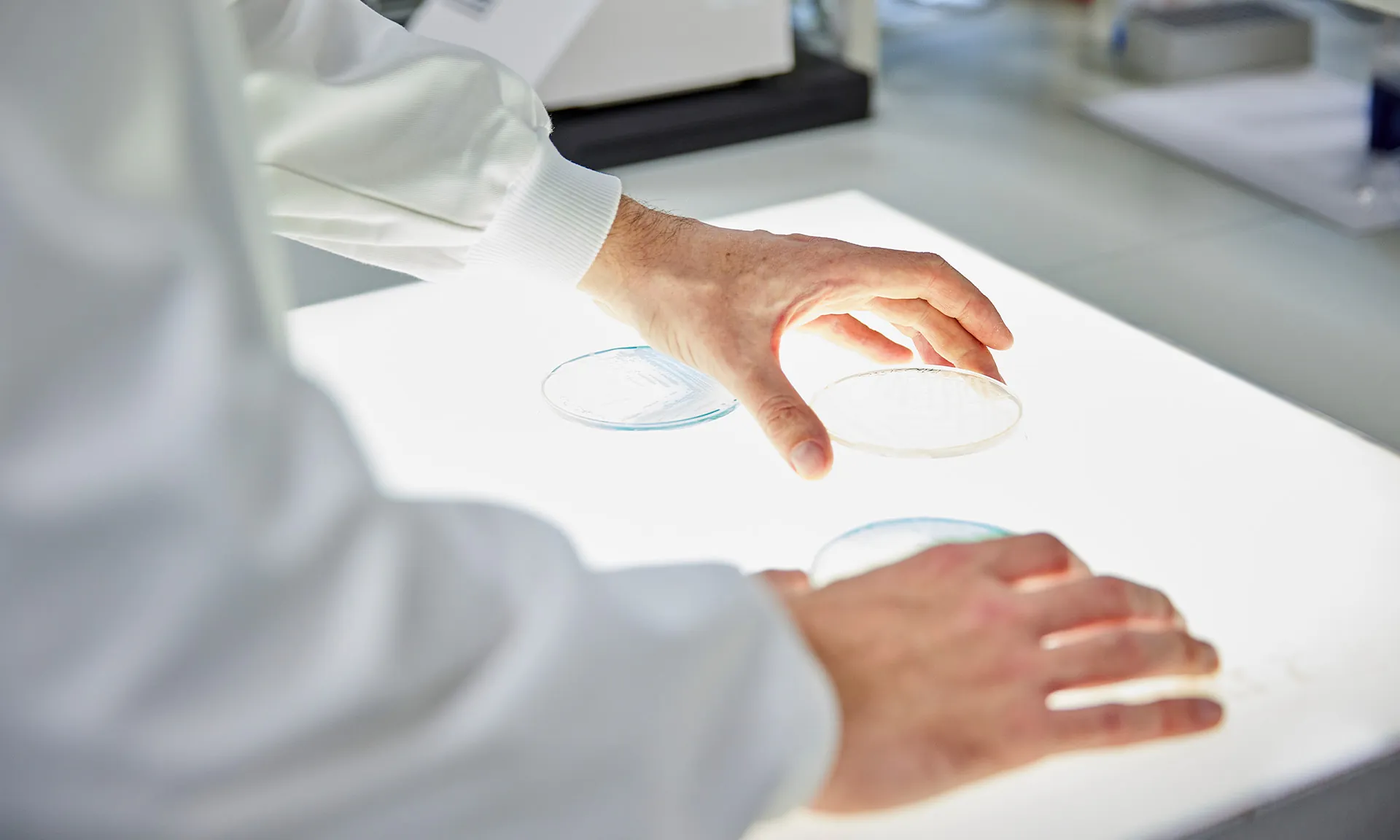 A photo of a workbench with a light box on it. The light box has petri dishes on it with a scientist wearing a white lab coat hands holding the dishes.